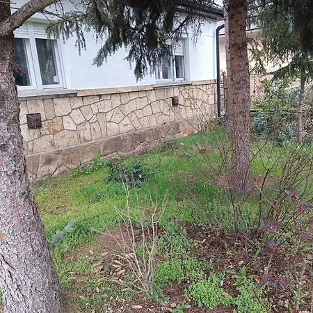 Tuenderkert Vendeghaz Szerencs